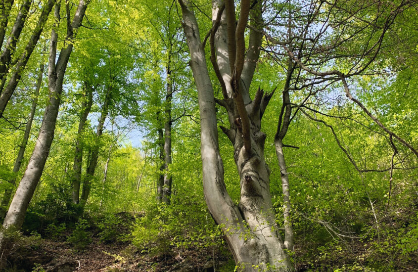 隔离后出门爬个小山